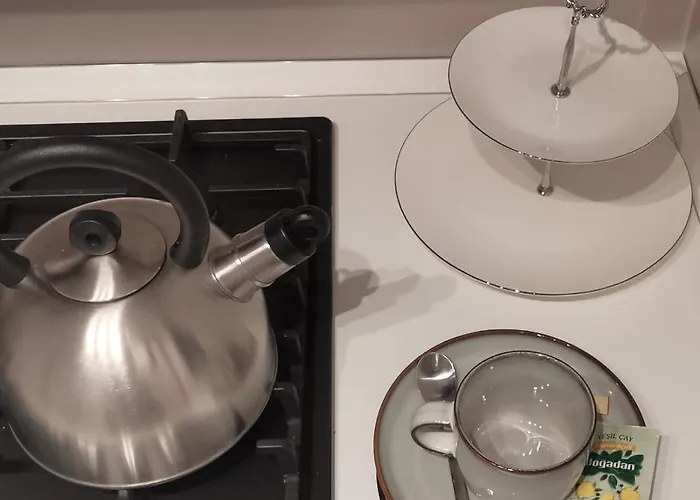 Mia!! Self Check-in!